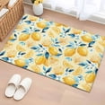 thumbnail image 1 of Yellow Lemon Blue Floral Entryway Rug 2'x3'&nbsp; Non Slip Front Door Mats, Summer Botanical Farmhouse Entrance Rugs Indoor Outdoor Carpet, Washable Floor Mats Small Area Rug for Bedroom Kitchen, 1 of 8
