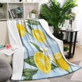 thumbnail image 1 of Yellow Lemon Fruit Flowers BlueWhite Pattern Blanket,Comfortable Soft Flannel Throw Blanket,All Season,Warm Lightweight Blankets for Sofa Bed Couch Living Room Chair,60"x80", 1 of 4