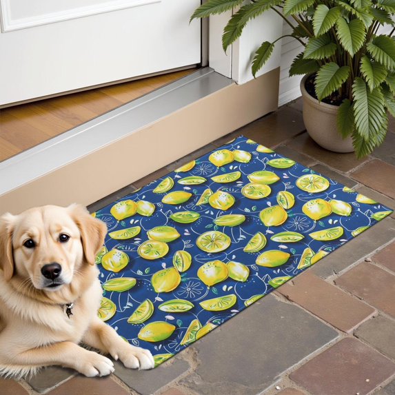 Yellow Lemon Fruit Slices Blue Pattern Door Rugs,Washable Non Slip Door Mats Indoor,Decorative Door Mats,Entry Mat Indoor for Entrance,Bedroom,Kitchen,Bathroom,16"x24"