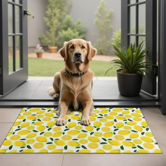 Yellow Lemon Fruit Slices White Pattern Door Rugs,Washable Non Slip Door Mats Indoor,Decorative Door Mats,Entry Mat Indoor for Entrance,Bedroom,Kitchen,Bathroom,20"x32"