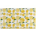 thumbnail image 1 of Yellow Lemon Fruit Slices White Pattern Door Rugs,Washable Non Slip Door Mats Indoor,Decorative Door Mats,Entry Mat Indoor for Entrance,Bedroom,Kitchen,Bathroom,17"x30", 1 of 6