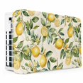 Window Kuling Unit Yellow Lemon Indoor Air Conditioner Covers for Window Units, Spring ...