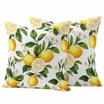 thumbnail image 1 of Yellow Lemon Pillow Covers 2 Pack Green Leaves Watercolor Plants Country Pillowcase Waterproof Outdoor Throw Pillow Cover for Patio Garden Square Cushion 20”x20”, 1 of 9