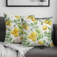thumbnail image 1 of Yellow Lemon Pillow Covers 20x20 Set of 2 Spring Fruit Leaves and Floral Pillow Case Green White Watercolor Decorative Throw Pillows Summer Pillowcase Square Cushion Cover Decor for Sofa Bed, 1 of 6