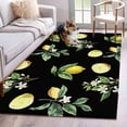thumbnail image 1 of Yellow Lemon Summer Area Rugs 2.7'x5', Washable Small Throw Rugs for Kitchen Bedroom, Farmhouse Tropical Fruit Black Indoor Outdoor Rug Non-Slip Low Pile Carpet Runner Reversible Floor Mats, 1 of 8