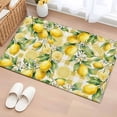 thumbnail image 1 of Yellow Lemons Entryway Rug 2'x3'&nbsp; Non Slip Front Door Mats, Summer Botanical Checkered Pastoral Entrance Rugs Indoor Outdoor Carpet, Washable Floor Mats Small Area Rug for Bedroom Kitchen, 1 of 8