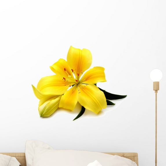 Yellow Lily Wall Decal by Wallmonkeys Peel and Stick Graphic (18 in W x 14 in H) WM157898