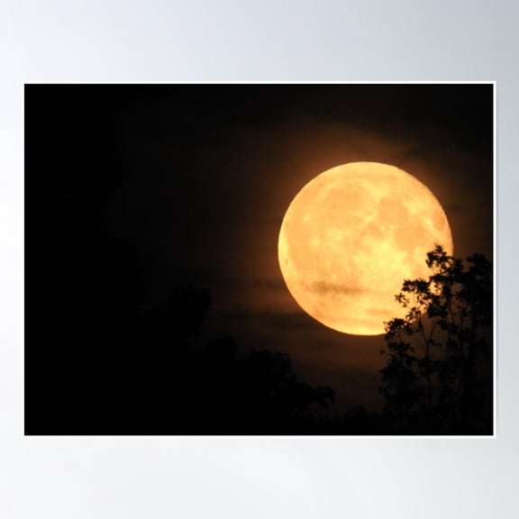 Yellow Moon Behind A Tree Poster Wall Art, Modern Wall Decor, 8x12 UNFRAMED