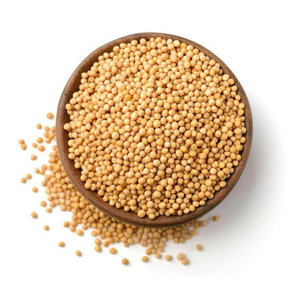 NY SPICE SHOP Yellow Mustard Seeds Whole - 1 Pound