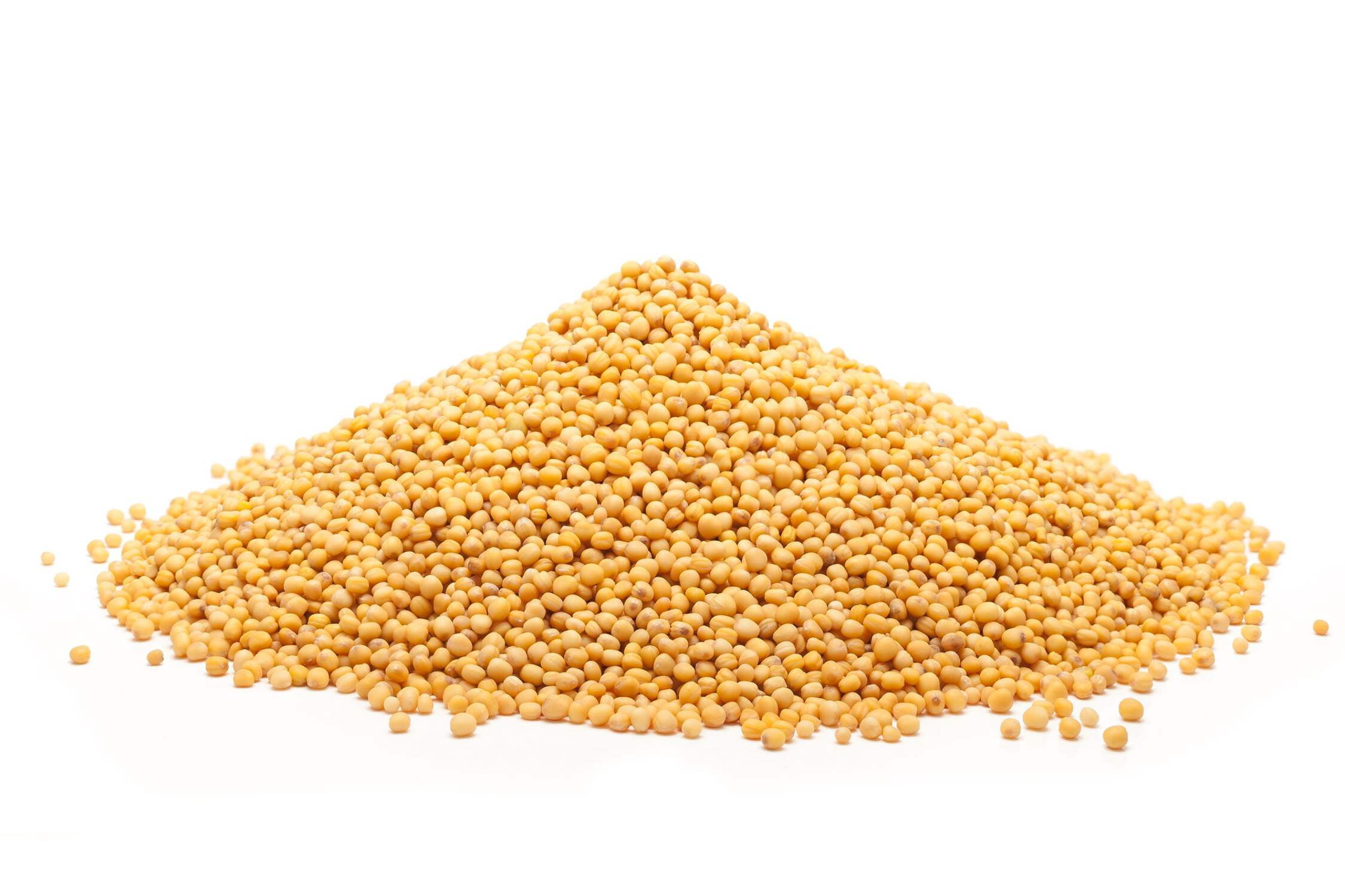 Whole Yellow Mustard Seeds All Natural by Its Delish, 10 lbs