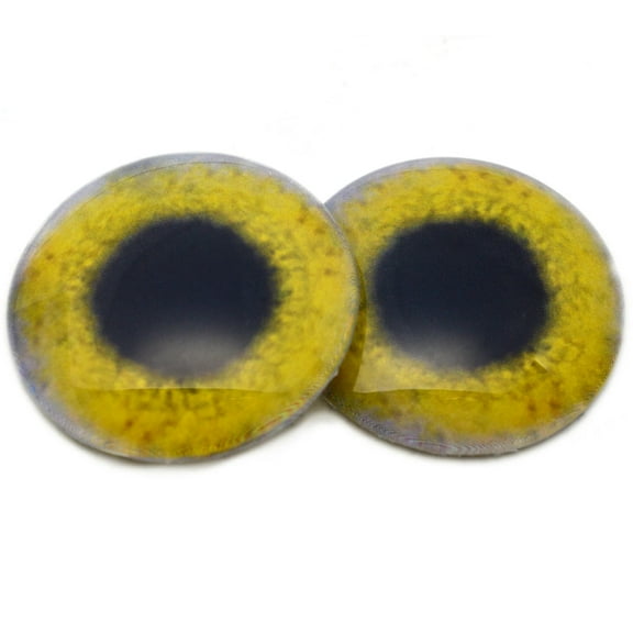 Yellow Osprey Glass Bird Eyes