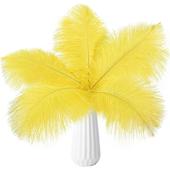 Yellow Ostrich Feathers 24pcs Natural Bulk 8-10Inch 20cm-25cm for Crafts Wedding Party Centerpieces Christmas Tree Decoration Feathers