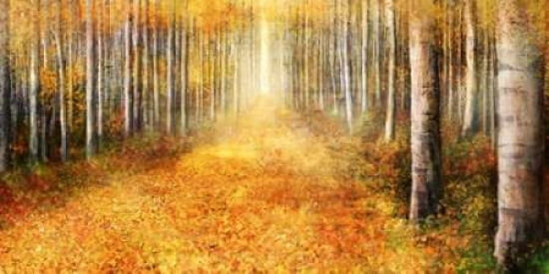 Yellow Path 1 Canvas Art - Ken Roko (10 x 20)