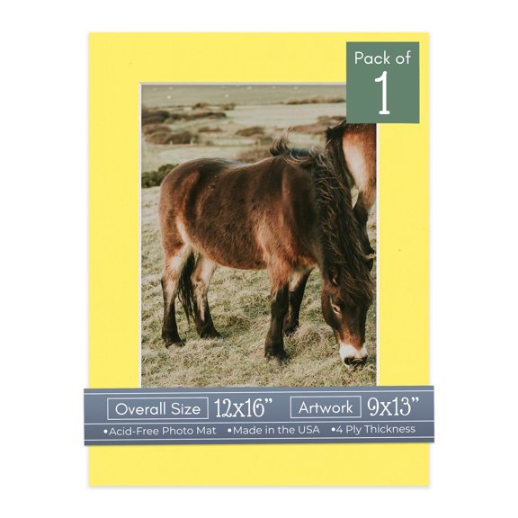Yellow Picture Frame Mat for 12x16 Frames - Fits 9x13 Photos - 1 Mat