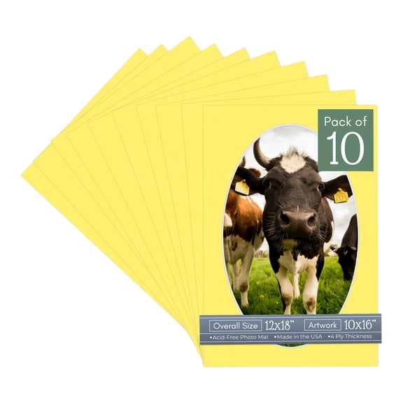 Yellow Picture Frame Mat for 12x18 Frames - Oval Opening for 10x16 Photos - 10 Mats