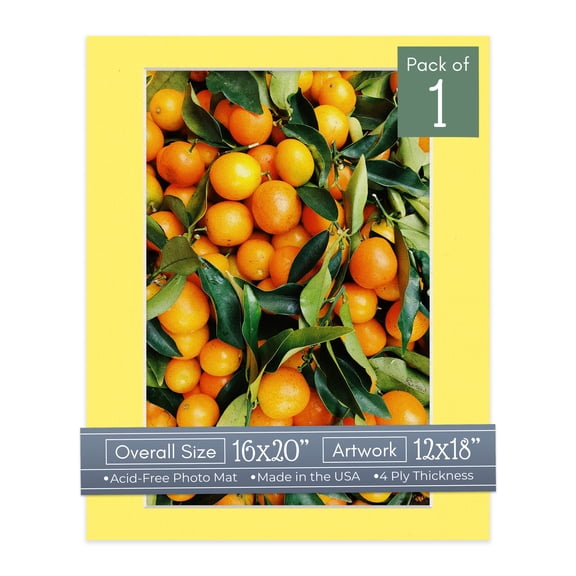 Yellow Picture Frame Mat for 16x20 Frames - Fits 12x18 Photos - 1 Mat
