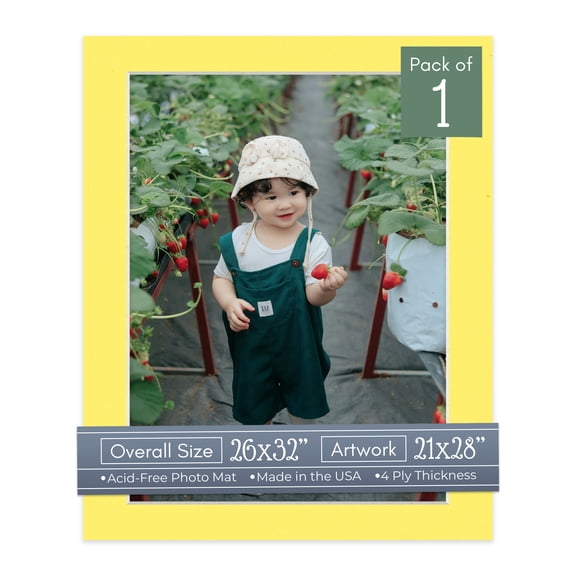 Yellow Picture Frame Mat for 26x32 Frames - Fits 21x28 Photos - 1 Mat