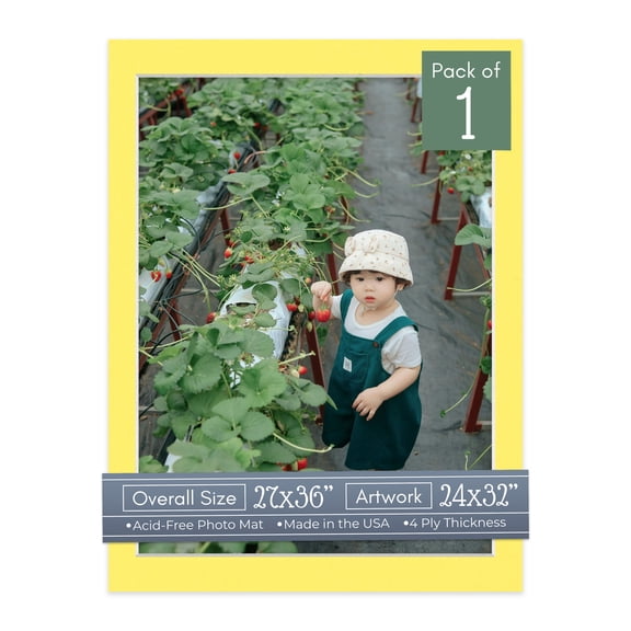 Yellow Picture Frame Mat for 27x36 Frames - Fits 24x32 Photos - 1 Mat