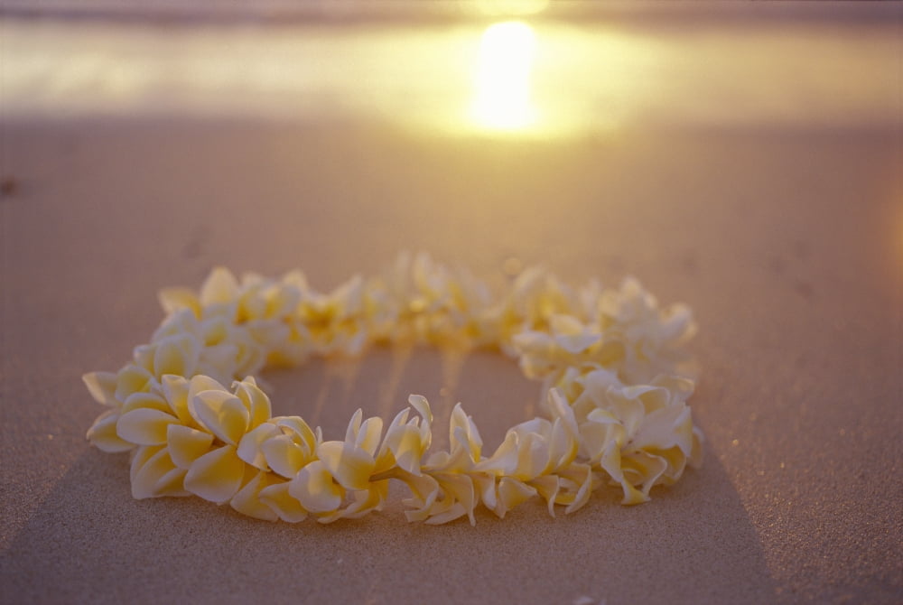 Yellow Plumeria Lei Shoreline Beach With Shadow Golden Reflections Ocean Sunset Canvas Art - Mary Van de Ven Design Pics (38 x 24)