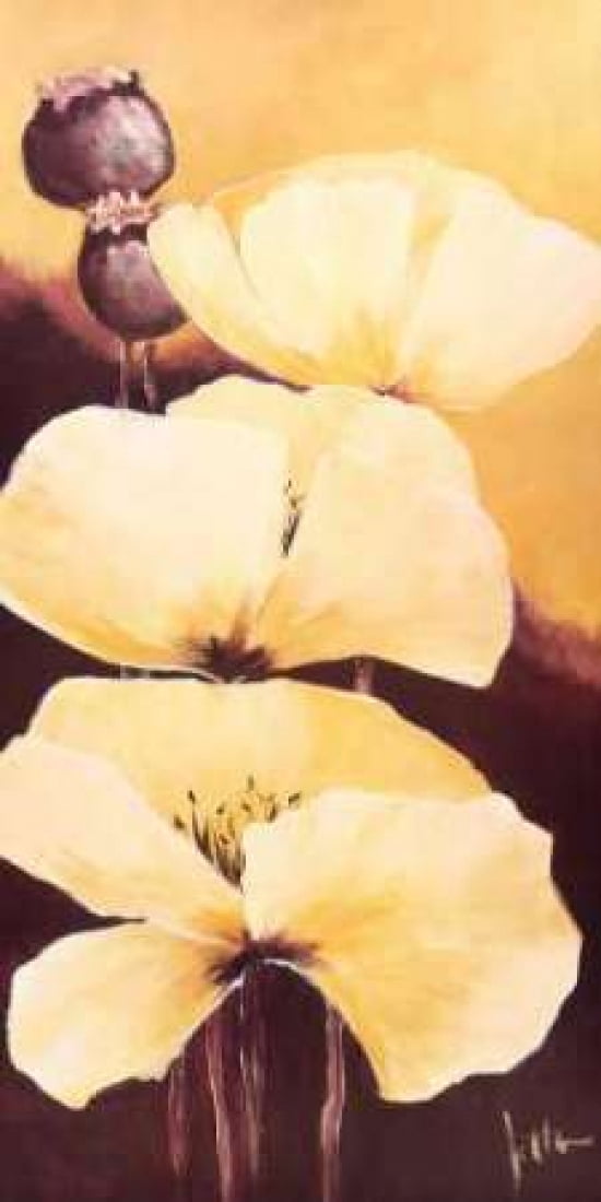 Yellow Poppies III Canvas Art - Jettie Roseboom (10 x 20)