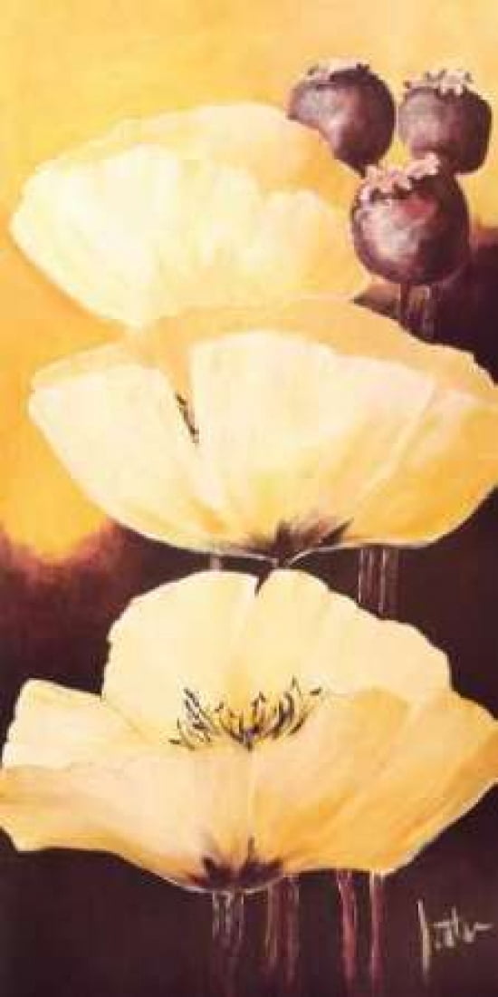 Yellow Poppies IV Canvas Art - Jettie Roseboom (24 x 48)