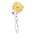 thumbnail image 1 of Yellow Poppy Pretty Watercolor - 12" Vinyl Sticker Waterproof Decal, 1 of 1