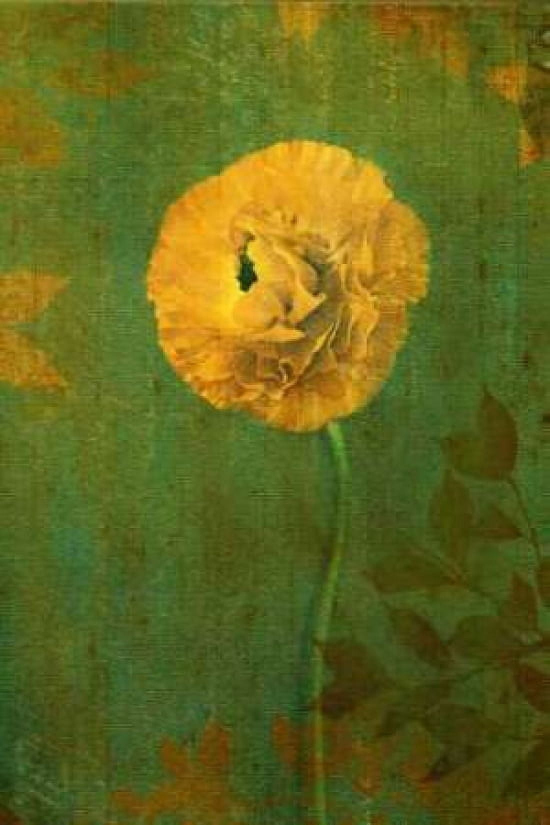 Yellow Renunculus Canvas Art - Vitaly Geyman (24 x 36)
