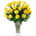 thumbnail image 1 of Yellow Roses Fresh Flowers Delivery - 2 Dozen Roses for Delivery/Farmhouse Flowers for Delivery - Fresh Cut Long Stem Roses Bouquet of Flowers Birthday Gifts for Women -Aquarossa Farms, 1 of 6