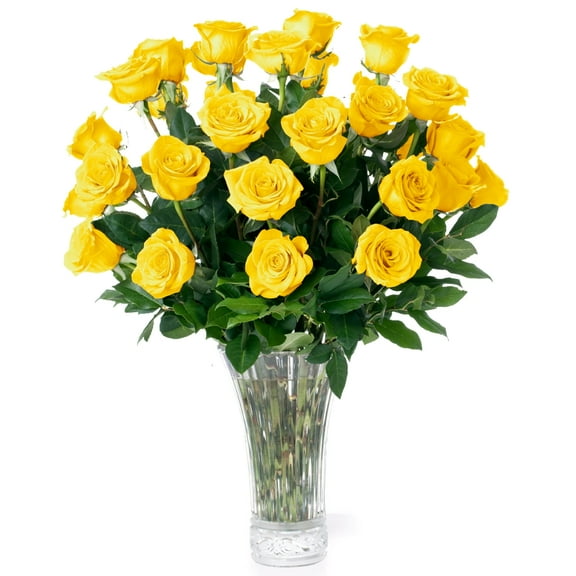 Yellow Roses Fresh Flowers Delivery - 2 Dozen Roses for Delivery/Farmhouse Flowers for Delivery - Fresh Cut Long Stem Roses Bouquet of Flowers Birthday Gifts for Women -Aquarossa Farms