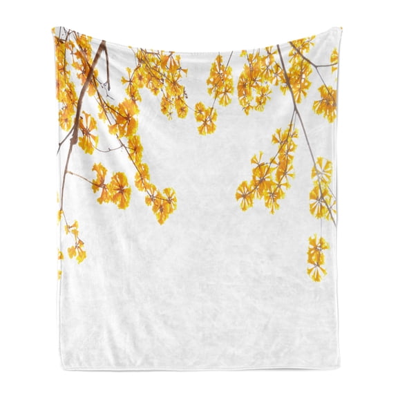 Yellow Soft Flannel Fleece Blanket, Flower Tree Branches Bloom Blossoming in Spring Garden Sun Rays Nature Theme Home, Cozy Plush for Indoor and Outdoor Use, 70" x 90", Yellow Brown, by Ambesonne