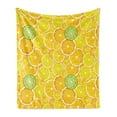 thumbnail image 1 of Yellow Soft Flannel Fleece Blanket, Lemon Orange Lime Fruit Citrus Round Cut Circles Big and Small Pattern, Cozy Plush for Indoor and Outdoor Use, 70" x 90", Yellow White and Green, by Ambesonne, 1 of 5