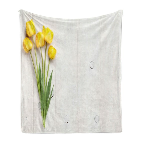 Yellow Soft Flannel Fleece Throw Blanket, Colorful Tulips on a Rustic Plain Wooden Board Spring Theme, Cozy Plush for Indoor and Outdoor Use, 50" x 60", Yellow White Lime Green, by Ambesonne