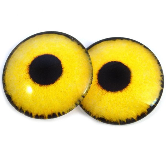 Yellow Sparrow Hawk Bird Glass Eyes