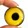 thumbnail image 1 of Yellow Sparrow Hawk Bird Glass Eyes, 1 of 6