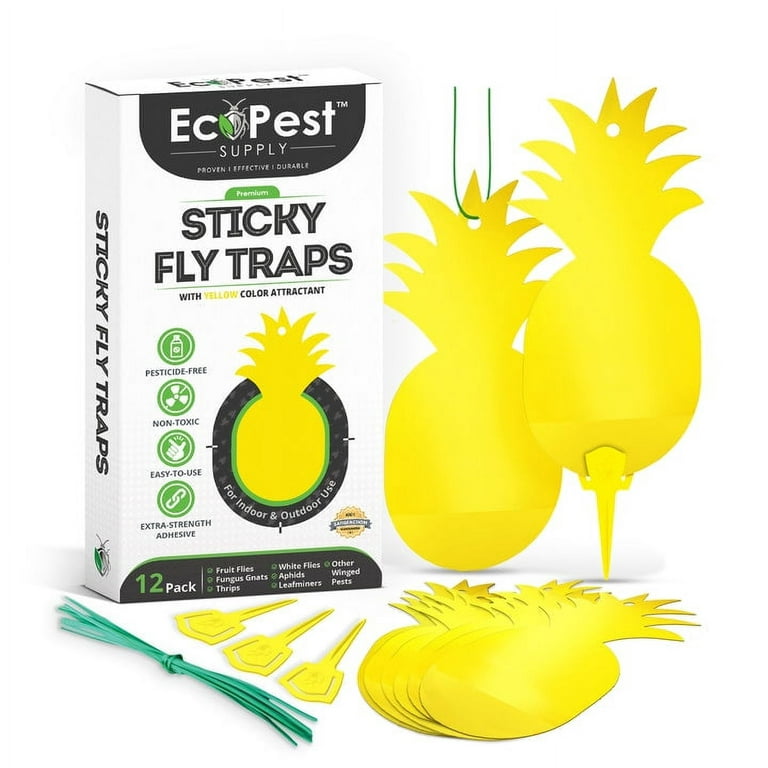 Sticky Fruit Fly and Gnat Traps – 12 Pack | Yellow Fly Paper Trap for House  Plants and Gnat Sticky Traps for Fruit Flies, Fungus Gnats, and Other