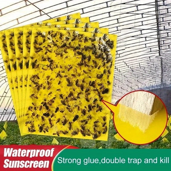 Yellow Sticky Indoor | 20 Pack Double Sided Sticky Bug for Home, for House Indoor Plants, 6X4 Inch Flying Insect for Kitchen Garden