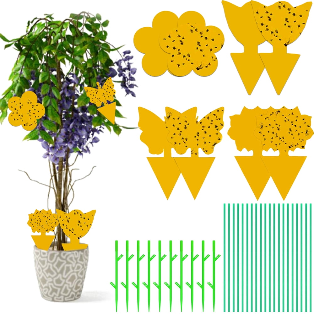 Yellow Sticky Traps 40PCS, Fungus Gnat & Fruit Fly Killer, NonToxic