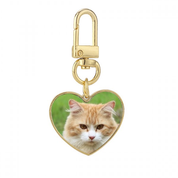 Yellow Stripes Cat Stare Pet Animal Gold Heart Keychain Metal Keyring Holder