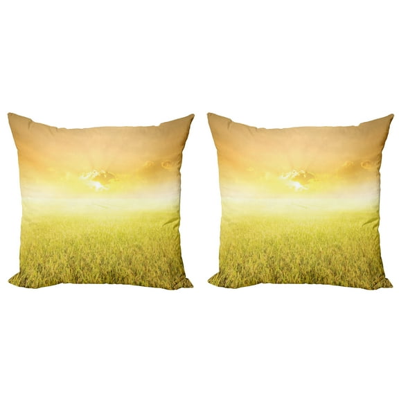 Ambesonne Yellow Throw Pillow Cover 2 Pack, Farm Countryside Field, 18", Yellow Beige