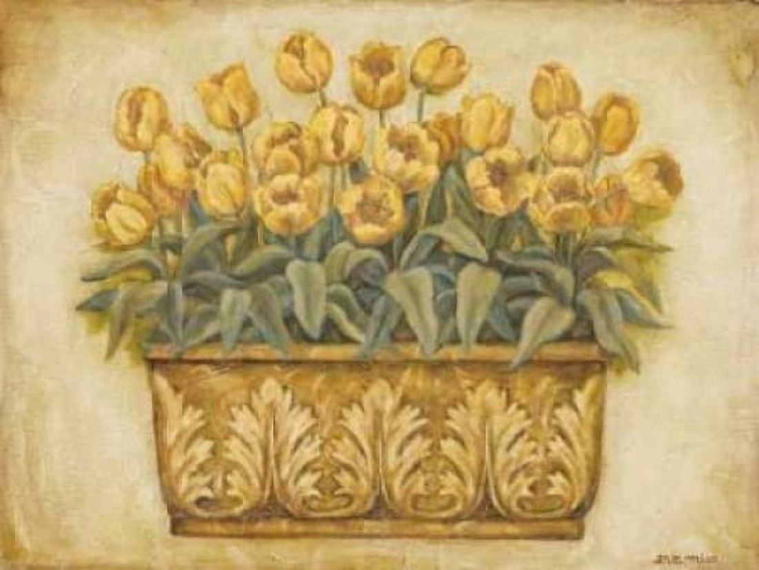 Yellow Tulips Canvas Art - Eva Misa (18 x 24)