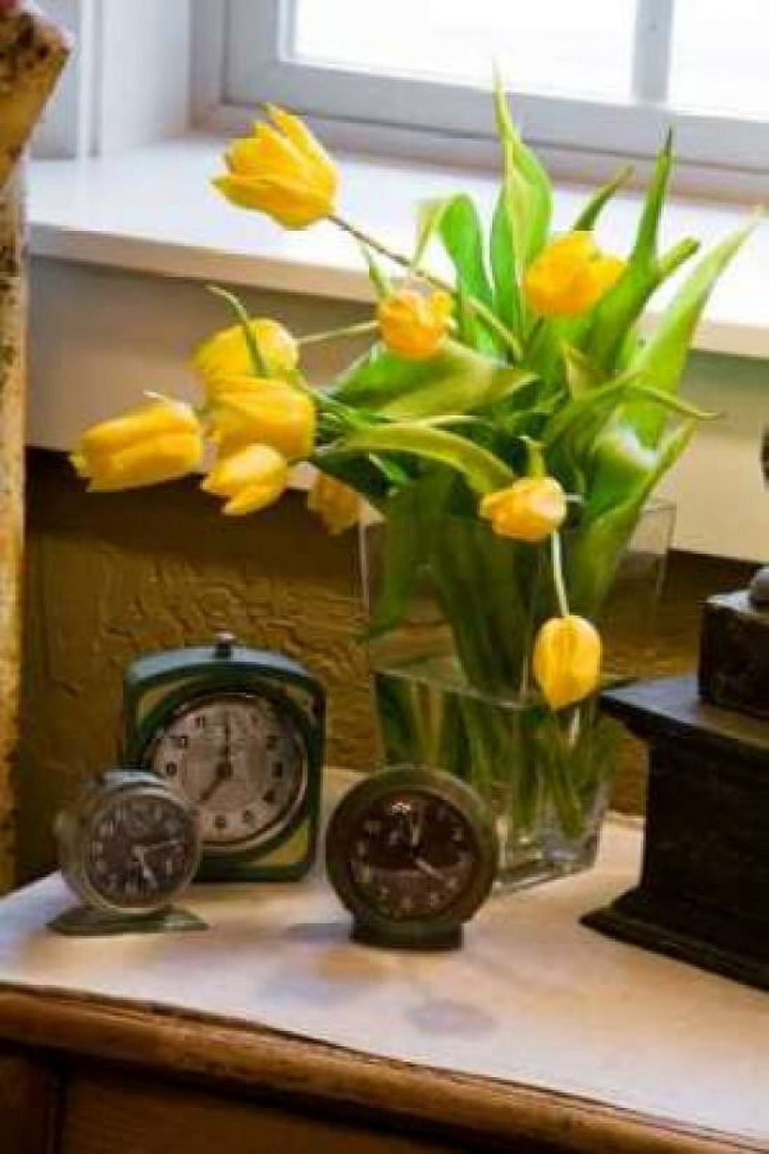 Yellow Tulips I Canvas Art - Philip Clayton-Thompson (24 x 36)