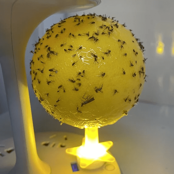 Yellow USB Plug-in LED Light Gnat Killer, Indoor Fruit Fly Trap & Sticky Glue Board Catchers for Mosquitoes, Moths