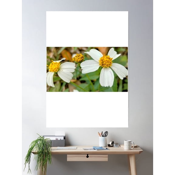 Yellow White Butterfly Needles Daisy Flower Poster Wall Art, Modern Wall Decor For Living Room Bedroom, 24x36 UNFRAMED