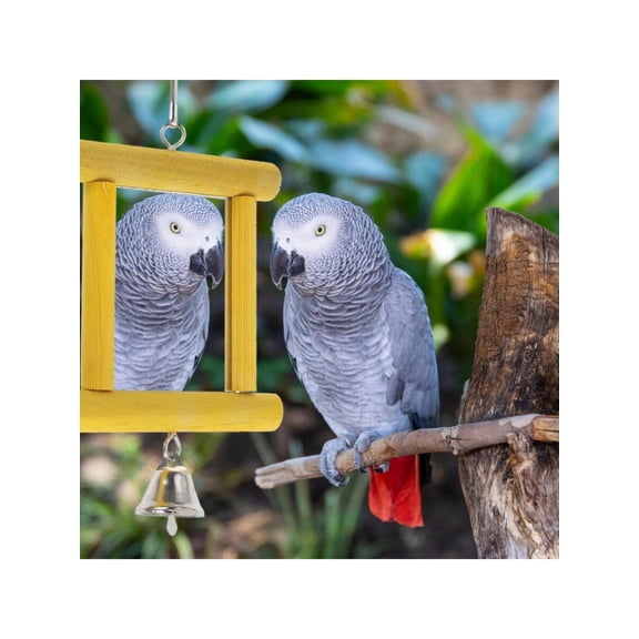 Yellow Wooden Mirror Bird Toy With Bell For Medium Small Parrots
