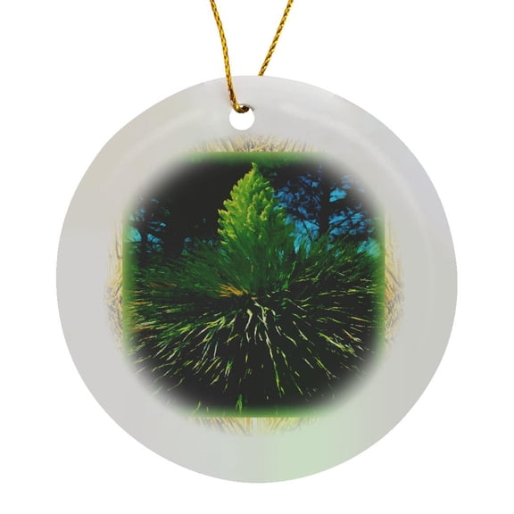 3drose, Yellow Yucca Flower, Circle Porcelain Ornament