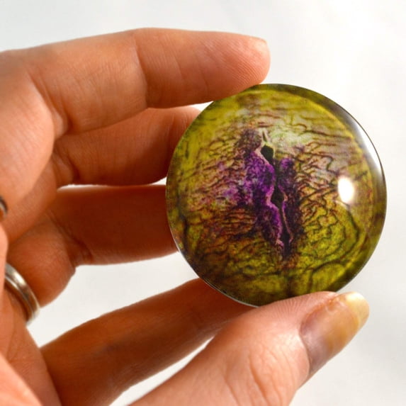 Yellow and Purple Lizard Reptile Glass Eyes