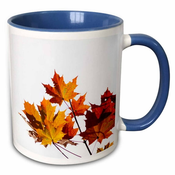 Yellow and orange maple leaves against the white background 15oz Two-Tone Blue Mug mug-336577-11