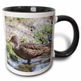 thumbnail image 1 of Yellow-billed Pintail, endemic to South Georgia. 15oz Two-Tone Black Mug mug-329374-9, 1 of 3