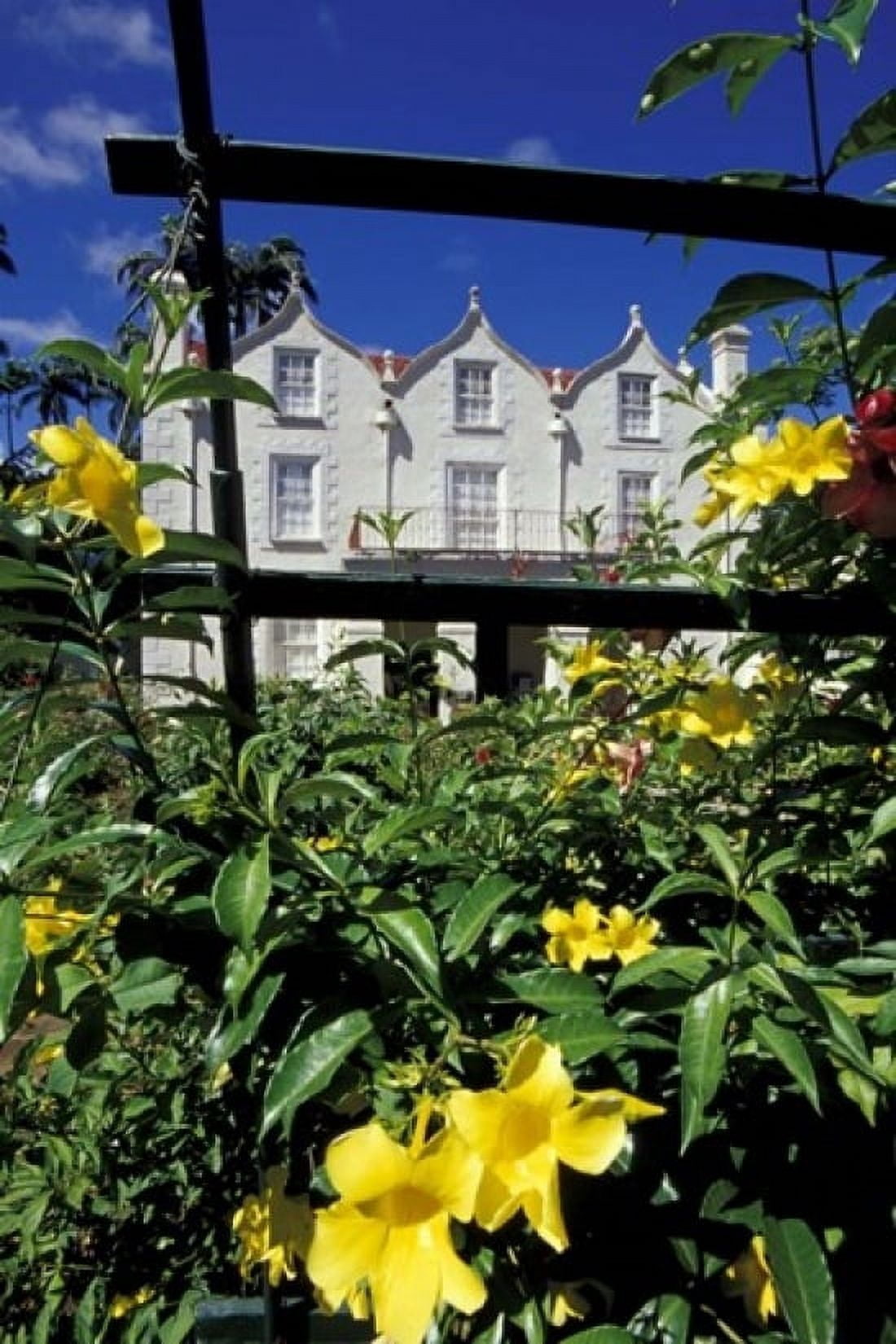 Yellow flowers St Nicholas Abbey St Peter Parish Barbados Caribbean Canvas Art - Greg Johnston DanitaDelimont (12 x 17)