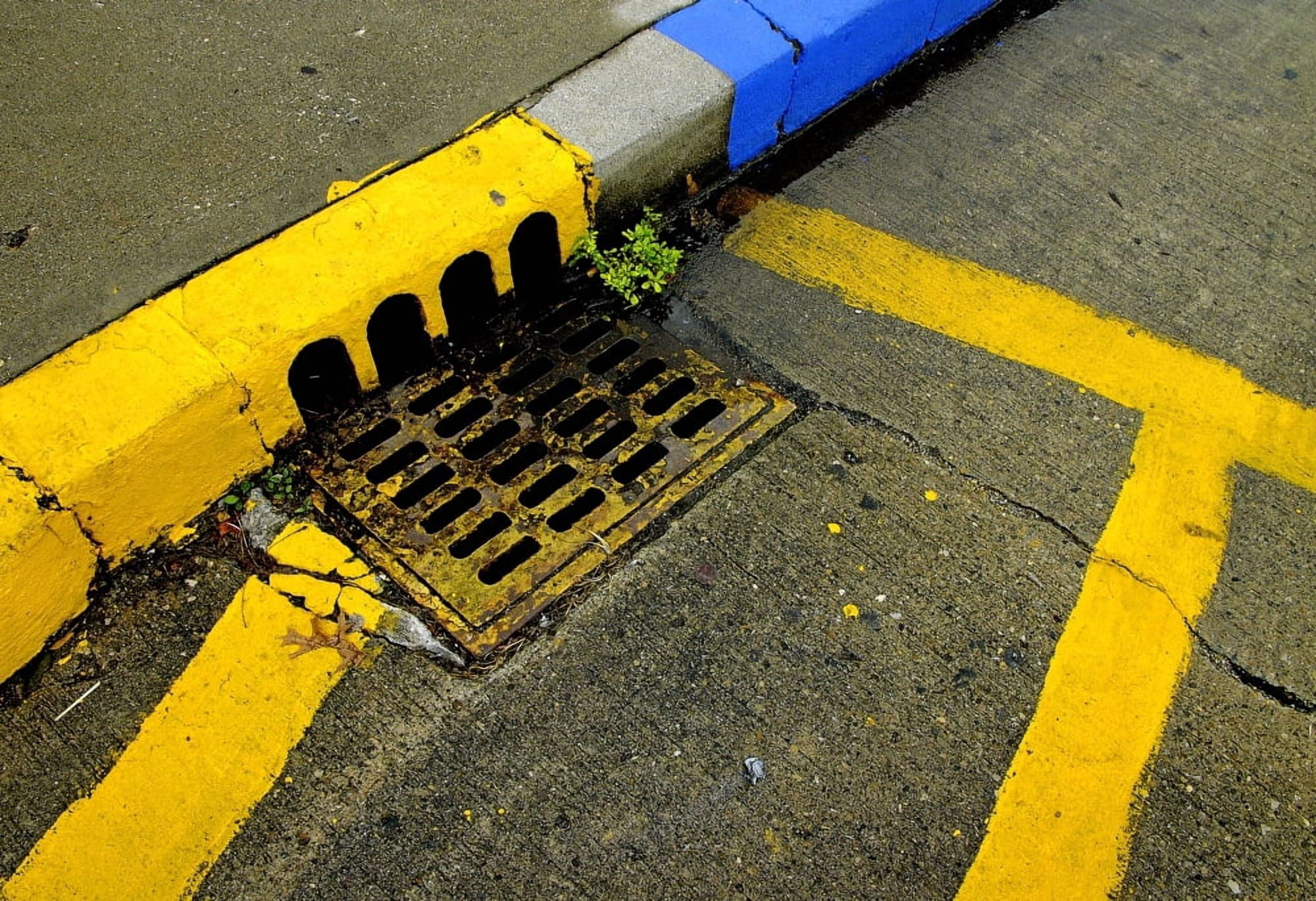 Yellow lines and sewer grate on street Canvas Art - Panoramic Images (24 x 18)